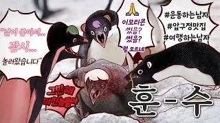 인스타 인싸 되는 법