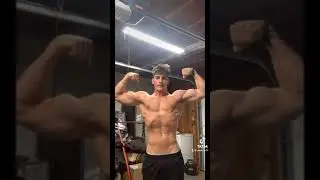 shredded vs bulk body