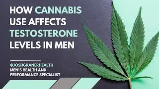 How Cannabis (Marijuana) Use Affects Testosterone Levels In Men