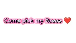 COME PICK MY ROSES @eve.xx032 , @Pinappl3-crush, @Bochil_ilang , @JulyJuu  read desc