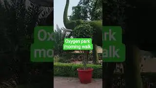 oxygen Park morabadi Ranchi morning walk ka Kitna khubsurat najara hai #2025