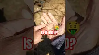 Easy Find, But Is It Gold?