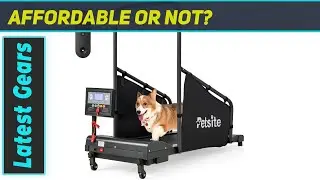 Petsite Dog Treadmill: Best Budget Option for Small Breeds