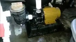 Installed Reeflo Hammerhead Gold Pump