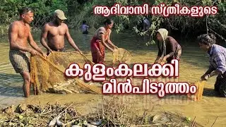  ആദിവാസിങ്ങളുടെ മീൻപിടുത്തം : Paniya tribe's unique fishing 