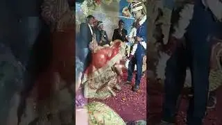 Indian #Wedding funny fails & moments, Shaadi video #marriage jaimala Varmala #shorts