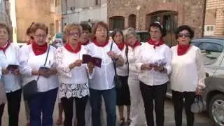 I Maraton musical cirbonero: Auroros (Cintruénigo 2015)