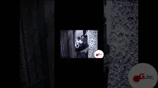 Don Guanella e suor Chiara, gli inizi dell'Opera SHORT Pura Luce sei Chiara Bosatta