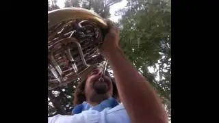 Five concert Bb's on the french horn.