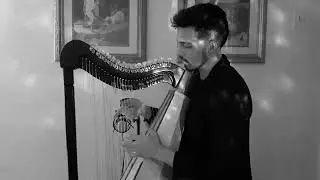 Björk - Unravel Harp cover