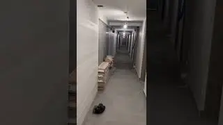 Freshly Painted and New Flooring in Apartment Building, Edmonton, Alberta