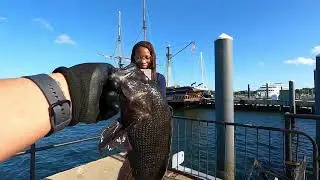 Porgy Fishing Rhode Island - Fishing Fort Adams in Rhode Island
