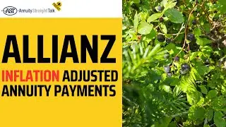 Allianz Inflation Adjusted Annuity Payments