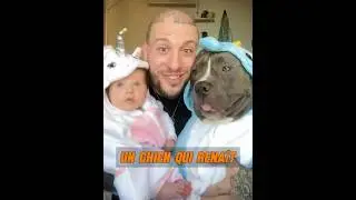 Un homme gu&eacute;rit un chien malade avec amour #animaux #animal