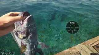 How To Fish Scum.  The Only Real Fishing Video