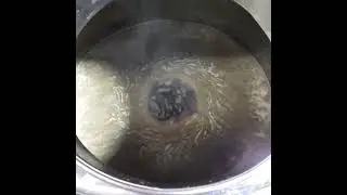 Whirlpool/Hop Stand