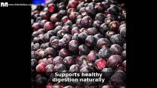 Top 5 Falsa Fruit Benefits & Uses [2024 Guide]