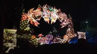 Forest Soul Gathering 2019 - Nobot (Parvati)