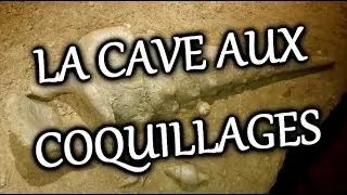 VADROUILLE 7 - LA CAVE AUX COQUILLAGES