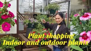 Filipina Life in the UK || Indoor and Outdoor Plant Shopping