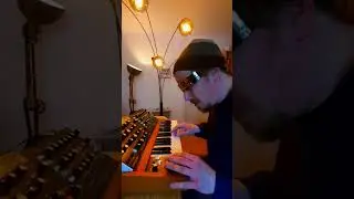 This is why I love analog synths / Behringer Poly D Jam #synth #synthesizer #behringer #analog