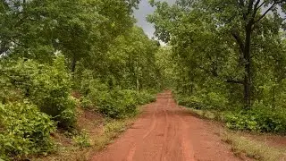 JOYPUR JUNGLE TOUR 2025