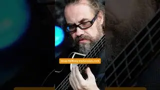 #40 Jonas Hellborg - 100 dias 100 baixistas lend&aacute;rios #bass #legend #groove #music #rock #shorts