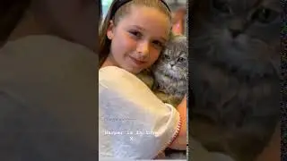 Victoria Beckham Instagram Stories   Week of Jul 14 2019