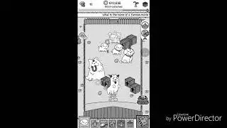 Dog Evolution Part 1