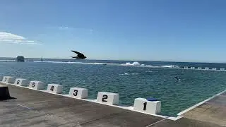 NEWCASTLE, NSW, AUSTRALIA - One Perfect Day - Winter 2021 - 4K