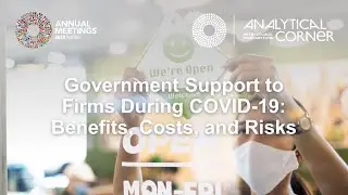 Government Support to Firms During Covid-19: Benefits, Costs, and Risks