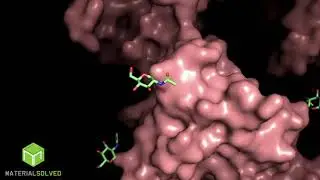 Spike Protein 3D model