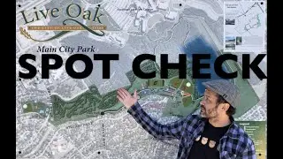 Live Oak Skate Park Spot Check - with Danny Gonzalez Skate