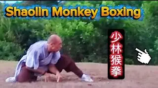 Shaolin Monkey Boxing 