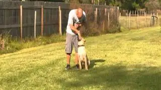 K9 Nala  Pt#1
