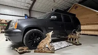 PIMP MY PREDATOR RIDE YUKON EDITION part 1. 