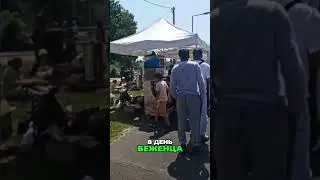 Беженцы в Париже: Еда, очередь, и подарки! Готово для TikTok!
