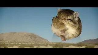 AHHHHH (gerbil edition)