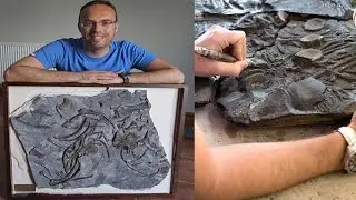 Amateur Palaentologist Smashes a 200-Million Year old Fossil to Pieces || Pastimers