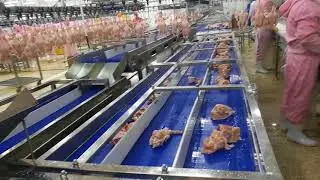 Belt conveyor for poultry processing plant