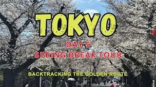 What to do with a Free Day in Tokyo (EF Tours Day 5 )