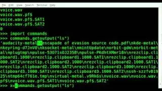 Get System Command Output - Python - Linux