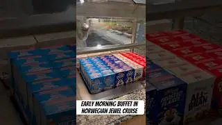 Garden Buffet Restaurant of Norwegian Jewel for Early Morning Risers #ncl #nclcruise #ncljewel