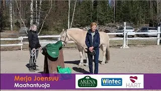 Wintec- ja Arena- satuloiden sovitus ja muokkaus - Merja Joensuu, maahantuoja