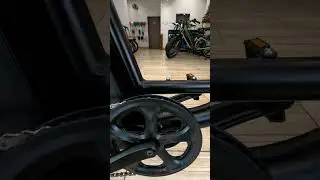 Rad Runner Plus type of pedal assist sensor?