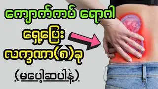 -သင့်ကျောက်ကပ်မကောင်းလျှင် ပြတတ်တဲ့ လက္ခဏာ(၈)ခု    @DrYe-