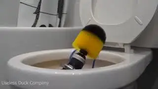 No Toilet Paper? No Problem