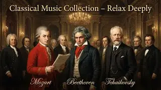 Classical Music to Relax the Soul & Soothe the Heart | Beethoven, Mozart, Schubert, Chopin, Bach