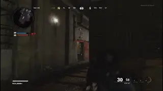 The DMR........Before it's nerfed