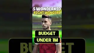 I Found 5 CHEAP Right Wing Wonderkids In FM24!